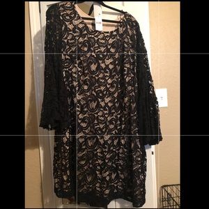 Lane Bryant Lace Knee Length Dress NWT Size 22/24